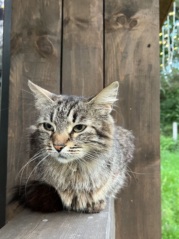 Photograph by Болдырева Ольга