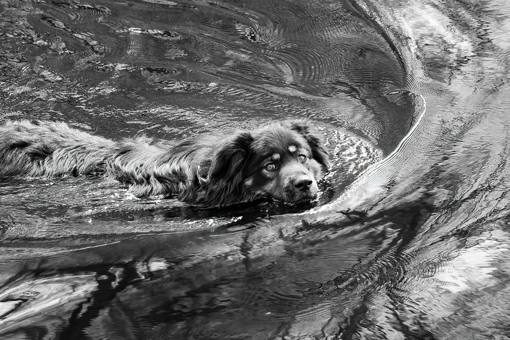 Photograph by Юрий Спасенников