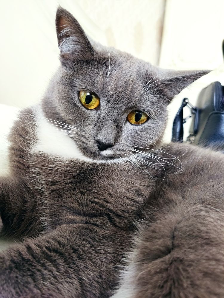 Photograph by Ramil Bakhriraziyev