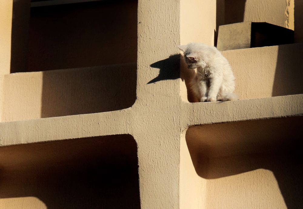 Фотография автора Кулешов Сергей