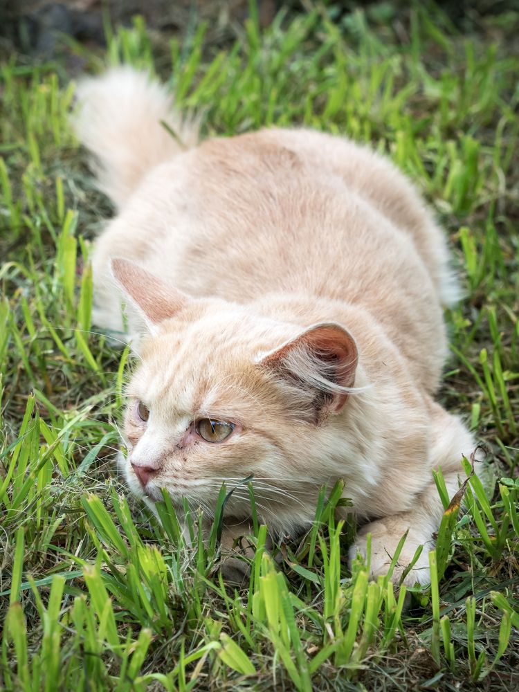 Photograph by Юрий Фокин