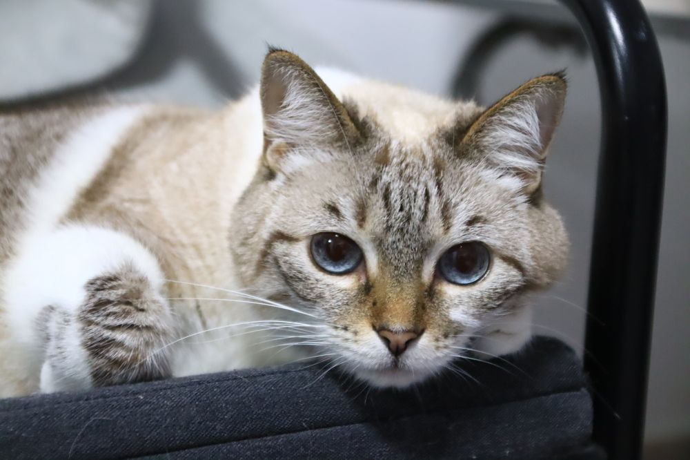 Фотография автора Olga Lavrenchuk