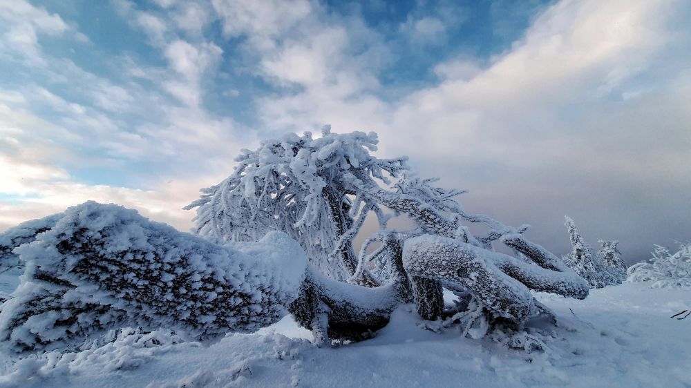 Photograph by Екатерина Михеева