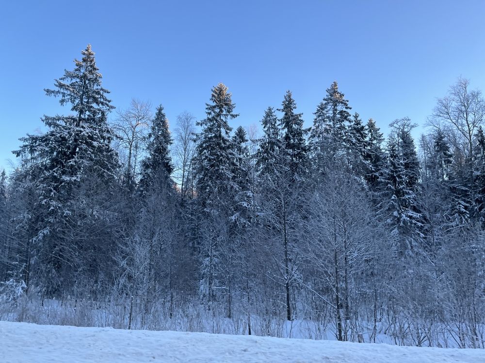 Photograph by Болдырева Ольга