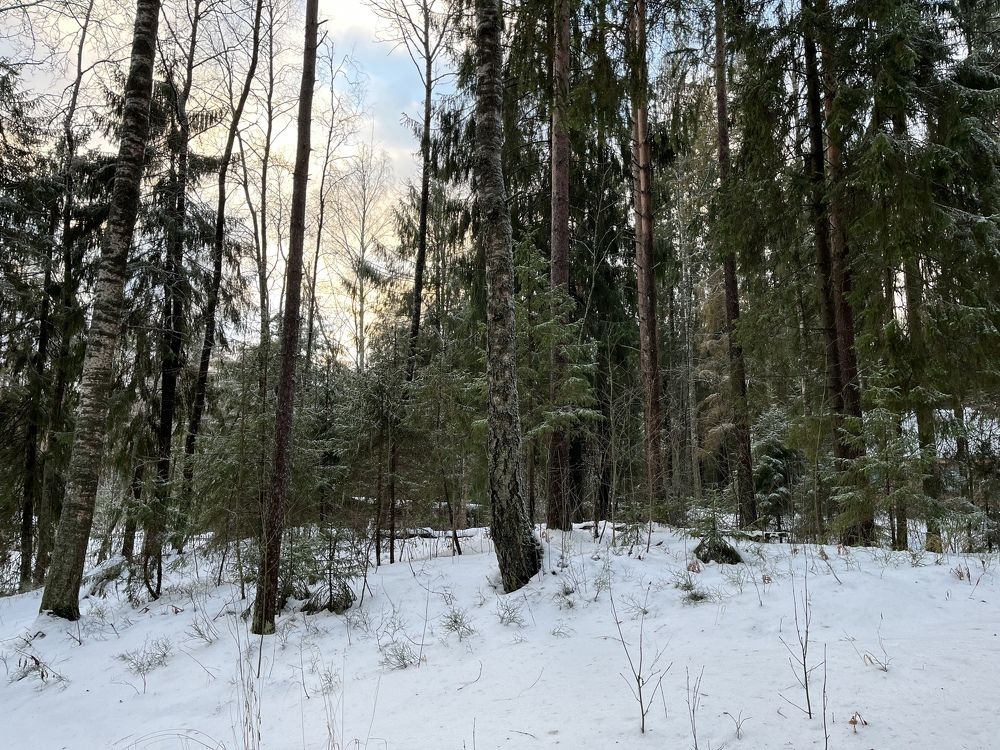 Photograph by Болдырева Ольга