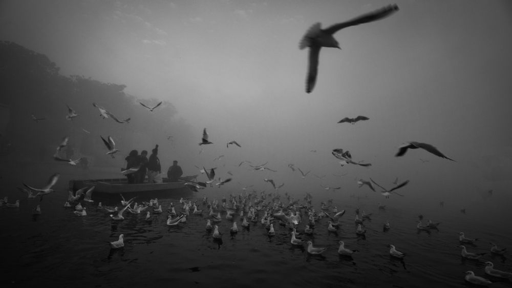 Photograph by Manjri Saxena