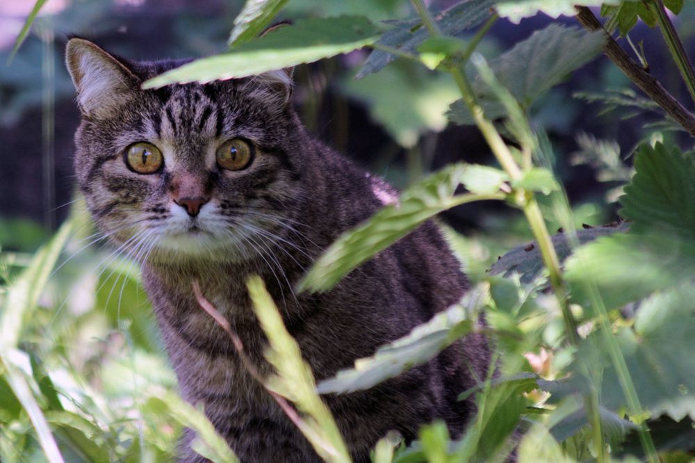 Photograph by Андрей