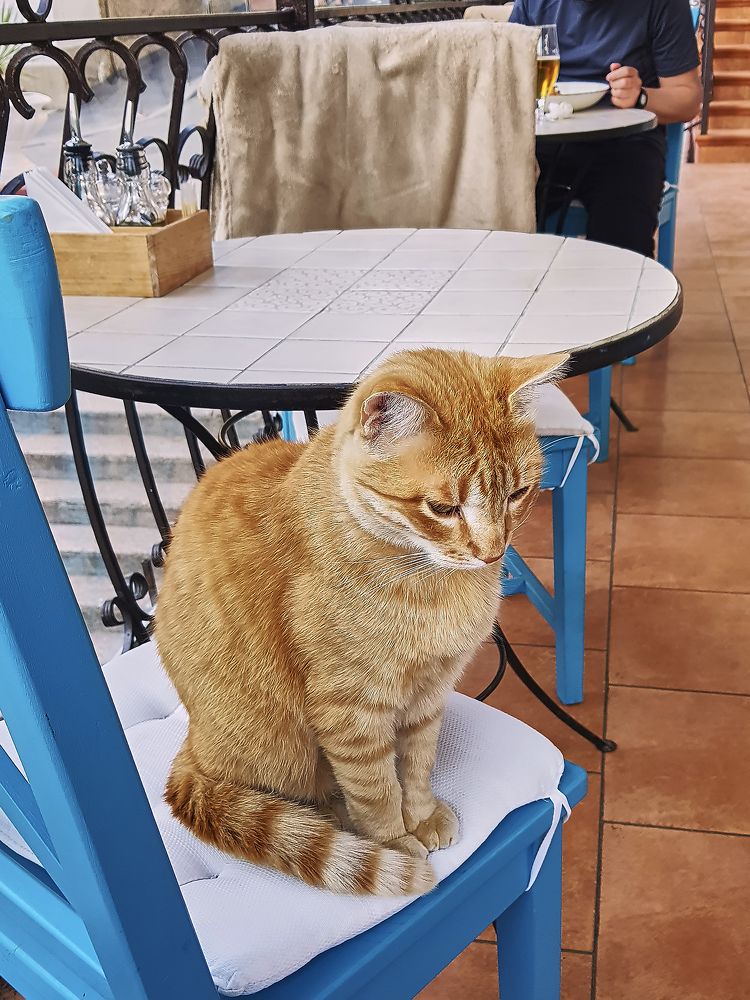 Что будем заказывать?