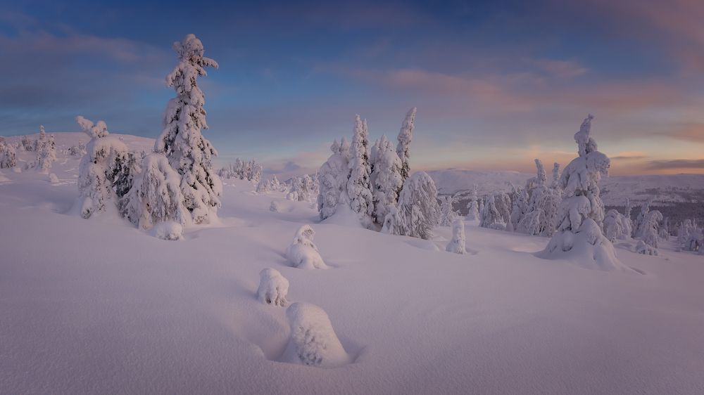Фотография автора Александр Рудный
