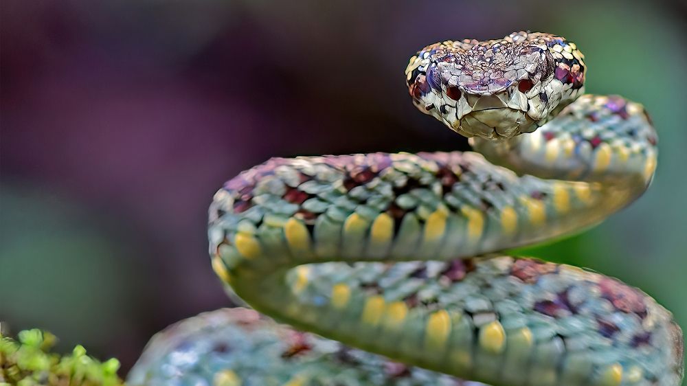 Photograph by Abhijeet Phalsankar