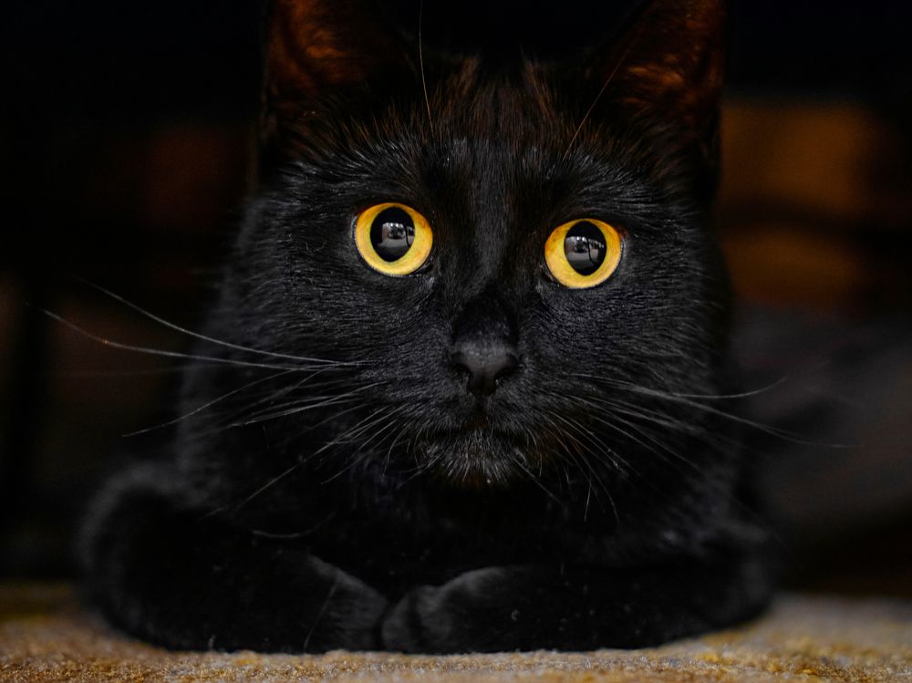 Photograph by Михаил Бронников