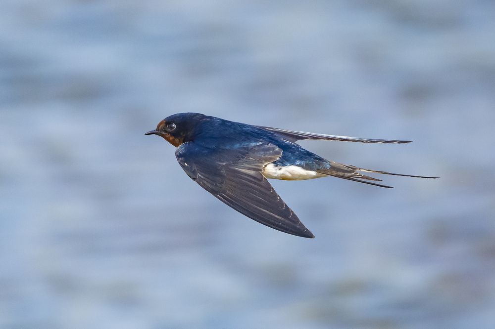 Photograph by Sameer Bhalekar