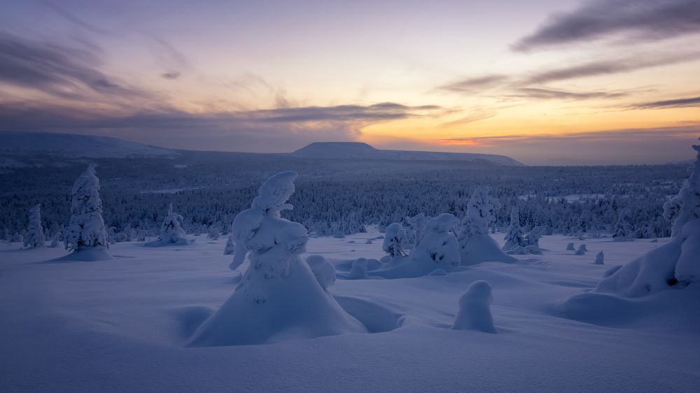 Фотография автора Александр Рудный