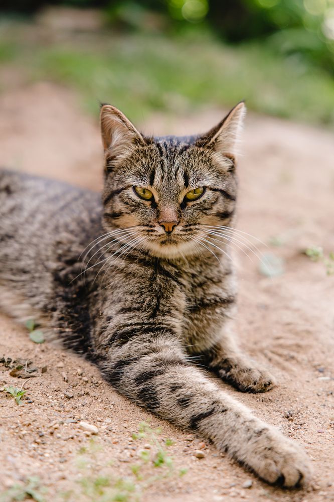 Photograph by Ирина Заргано