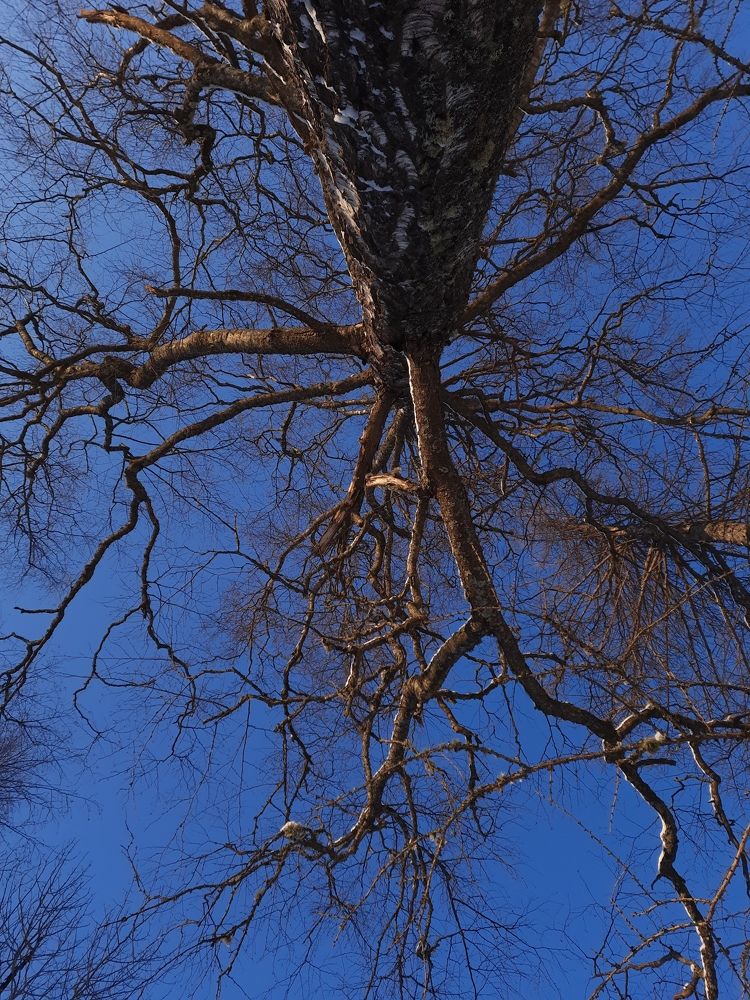 Photograph by Людмила Щепилова