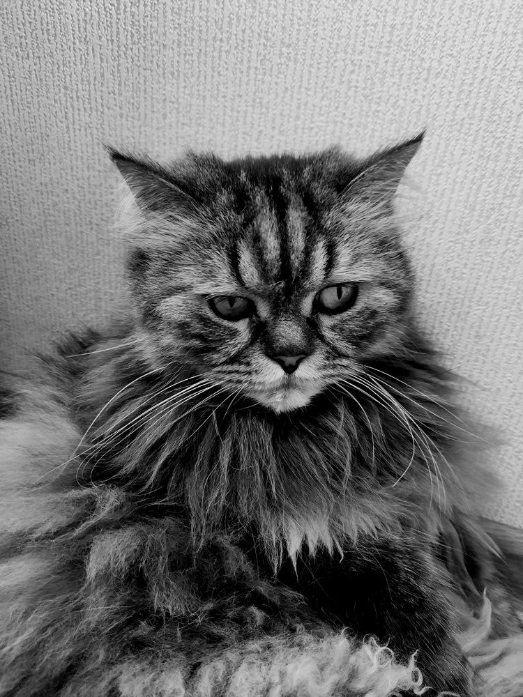 Photograph by Ольга