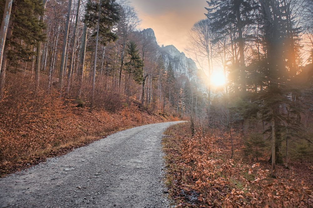 Photograph by Manuel Prielinger