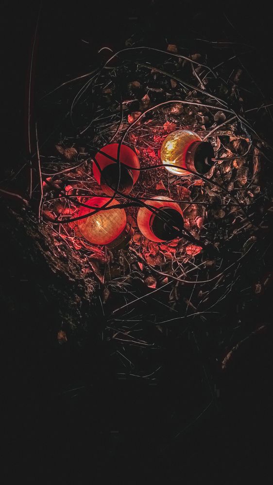 Photograph by Анна Фаюстова