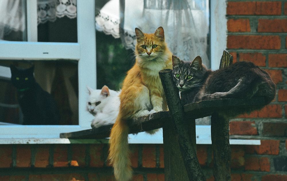 Photograph by Наталья Болотенков