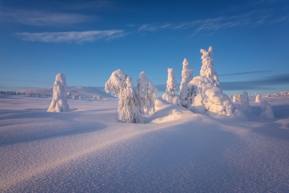 Фотография автора Александр Рудный