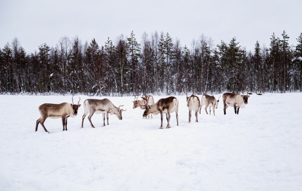 Photograph by Денис Жигалов