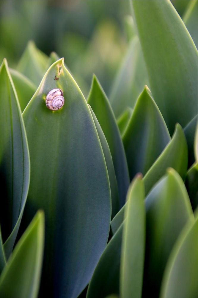 Фотография автора Olga Lavrenchuk