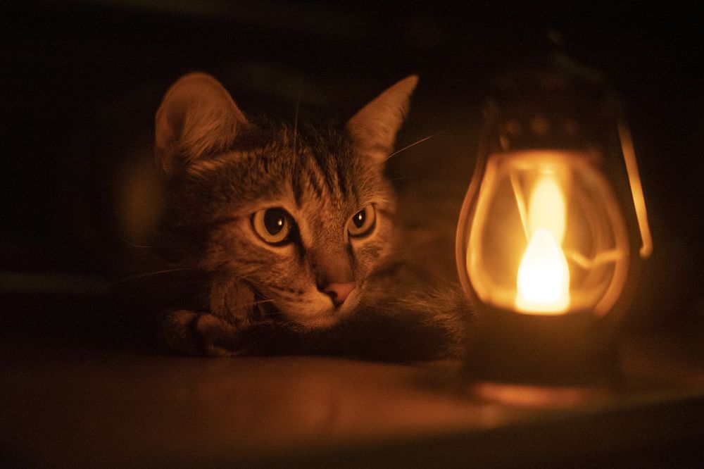 Photograph by Юлия Козельских