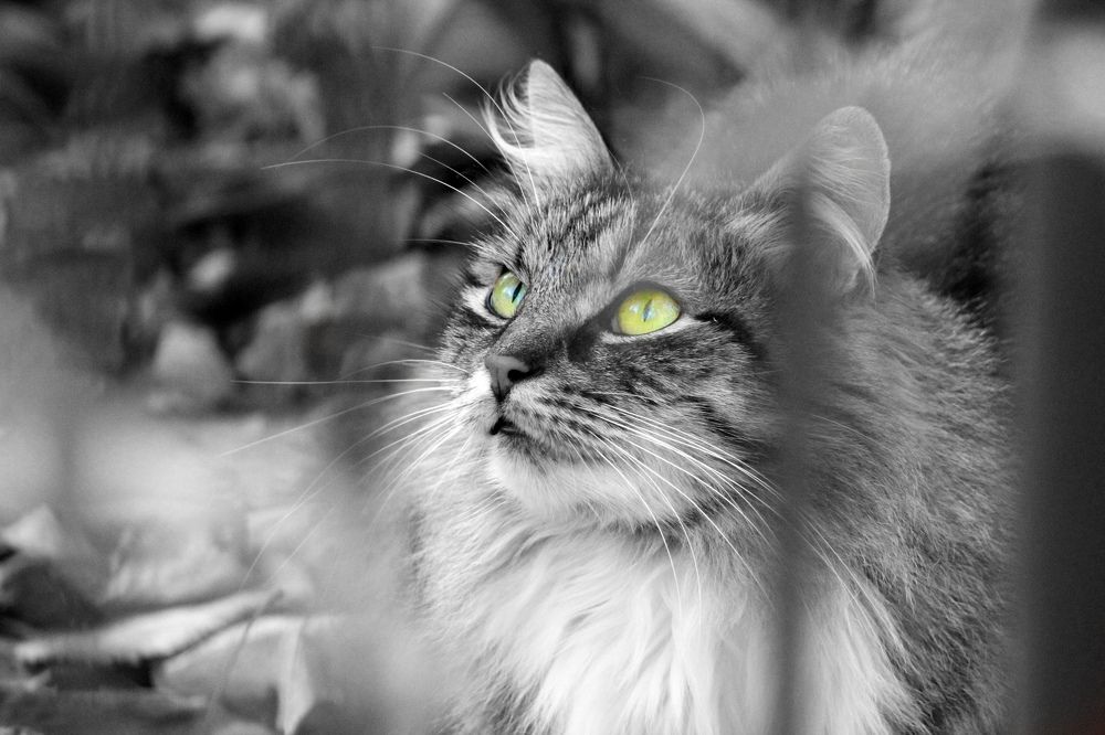 Photograph by Евгений Широких