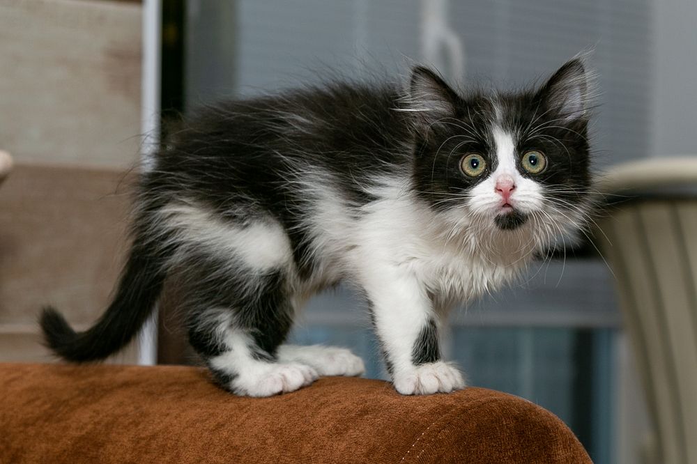 Photograph by Оксана Пучкова