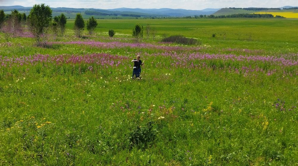 Photograph by Александр Дегтярев