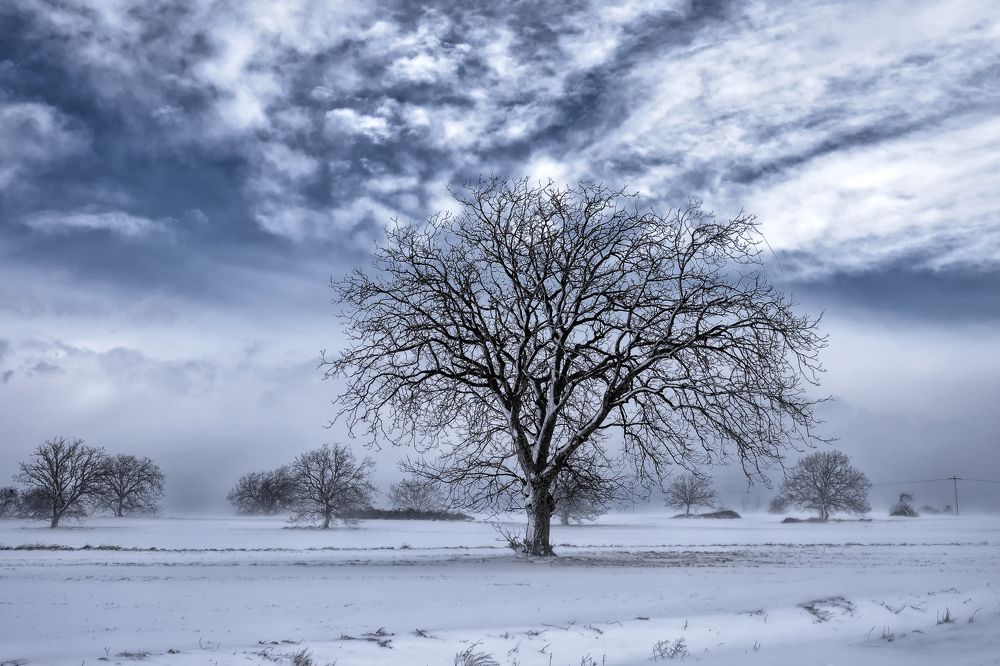 Фотография автора Aylin Turnator