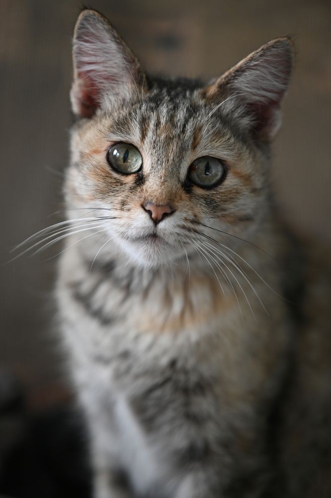 Photograph by Дмитрий