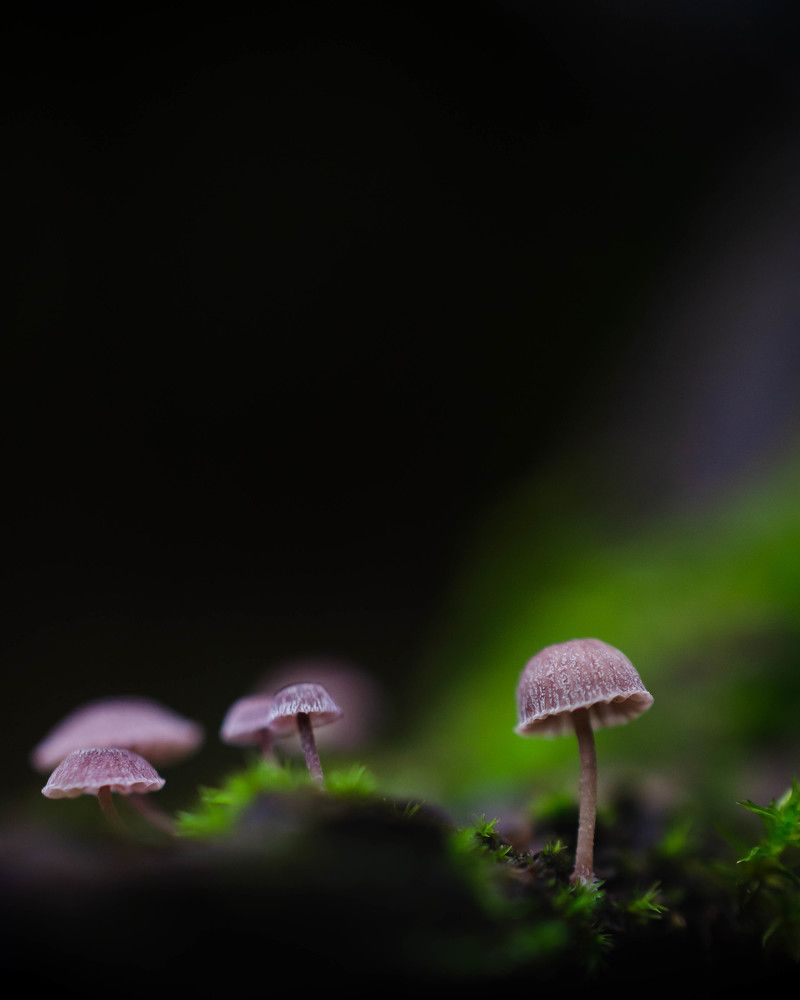 Photograph by Вайсберг Александр