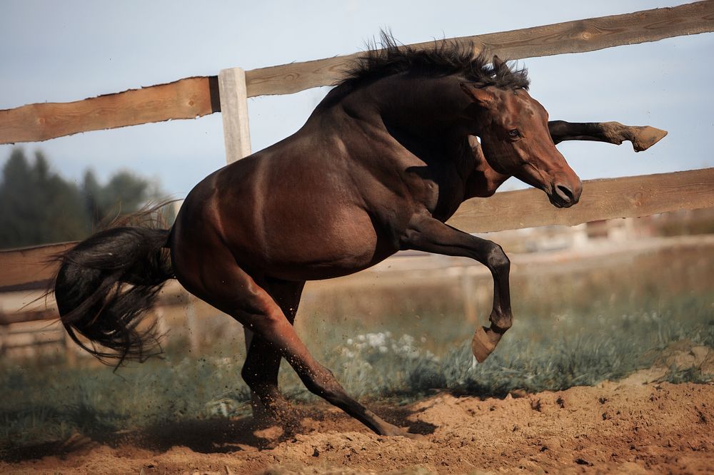 Photograph by Дарья Ералева