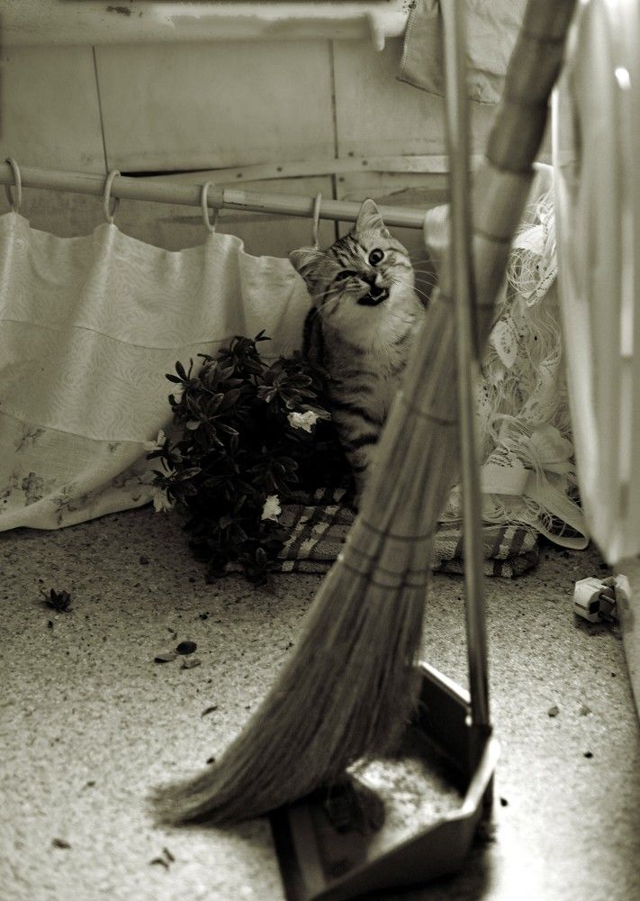 Фотография автора Ольга