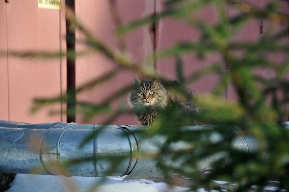 Фотография автора Виталий Дузь