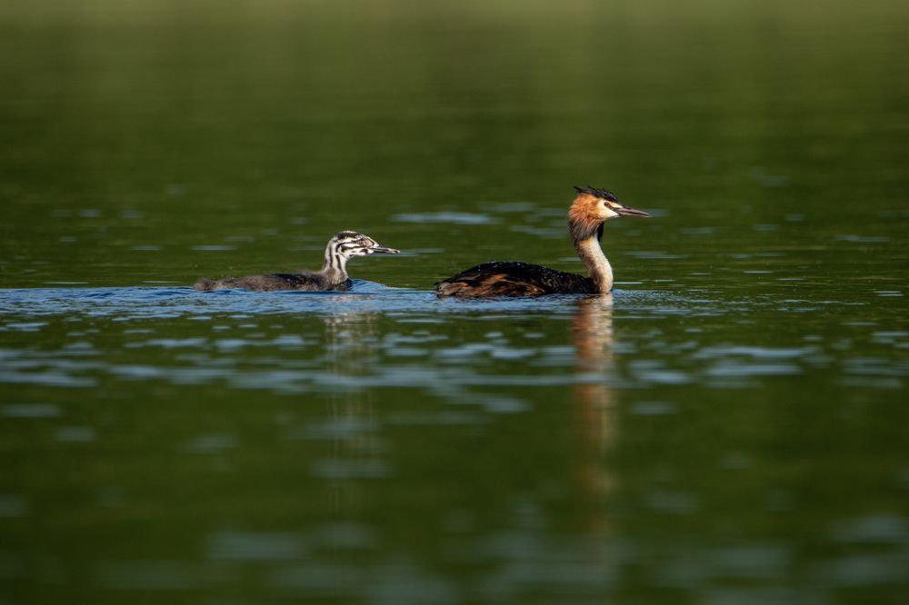 Photograph by Михаил Косяк