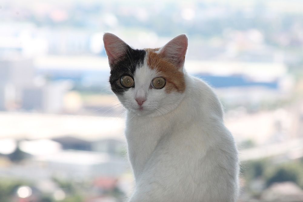 Photograph by Диана Ульянцева