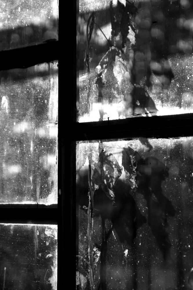 Фотография автора Анастасия Зверева