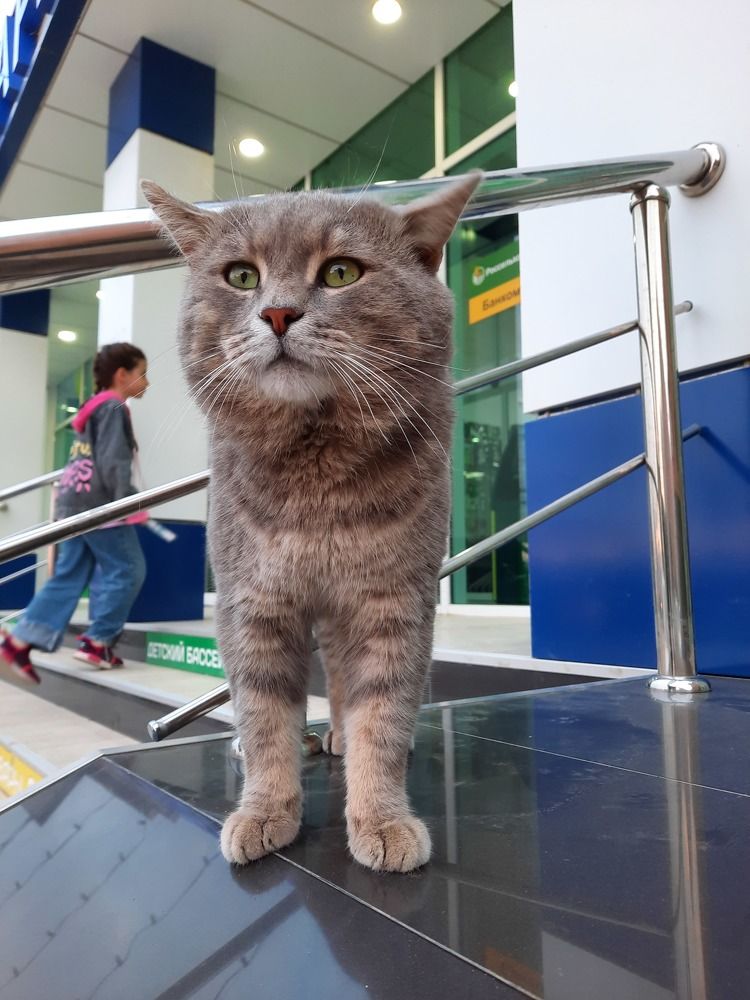 Photograph by Елена Симонова