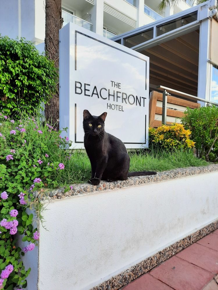 Photograph by Елена Симонова