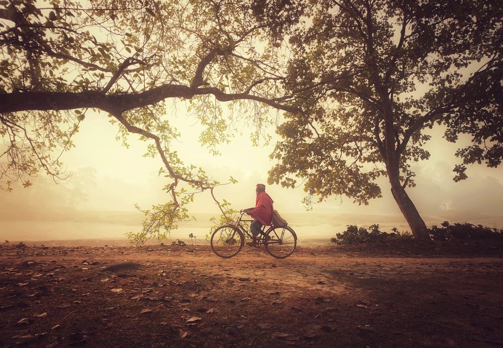 Фотография автора PRADIPTAMOY PAUL