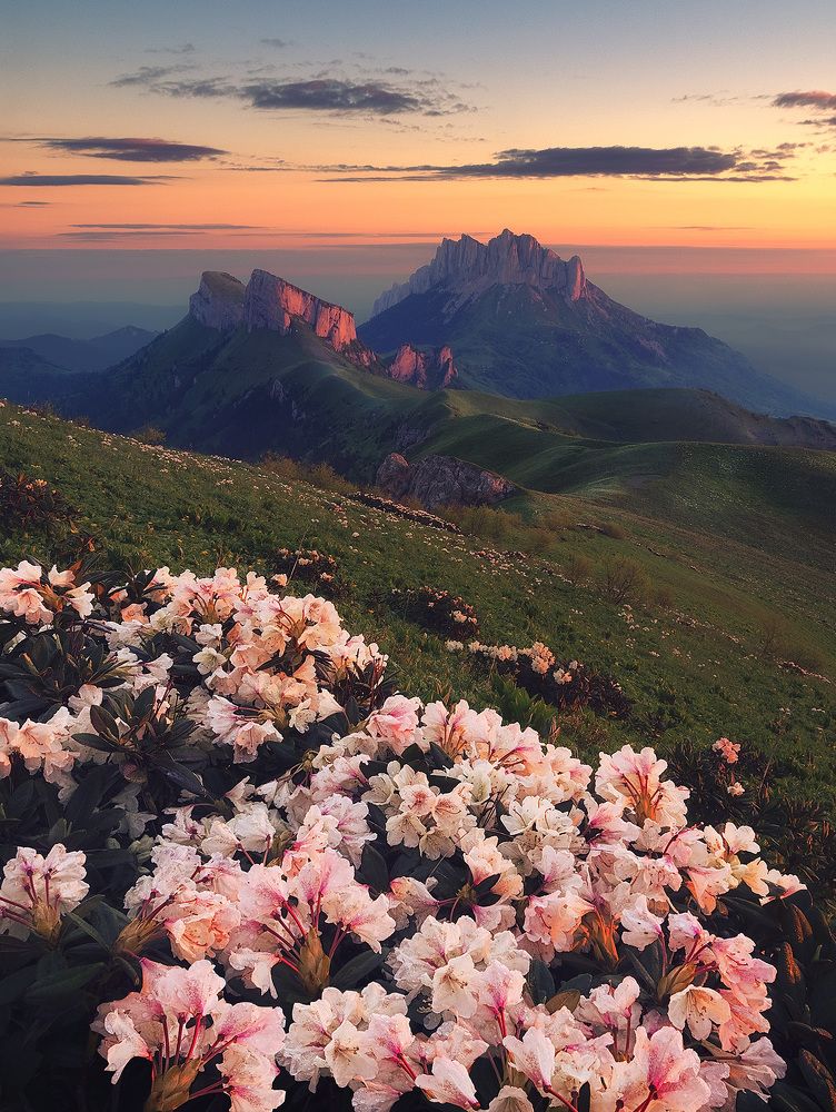 Photograph by Андрей Родионов