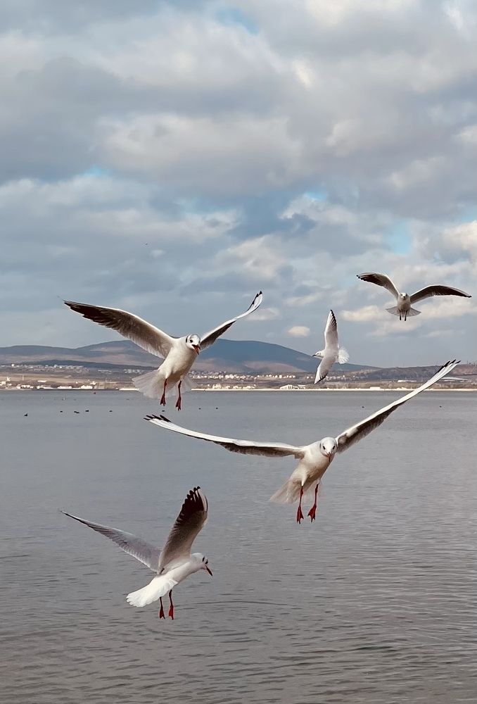 Photograph by Татьяна