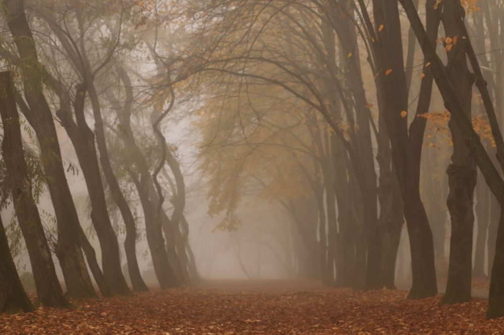 Photograph by Сергей Кульков