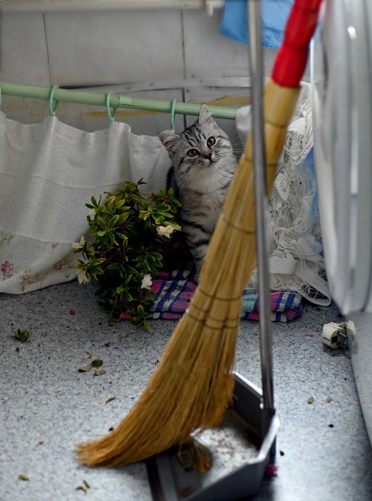 Фотография автора Ольга