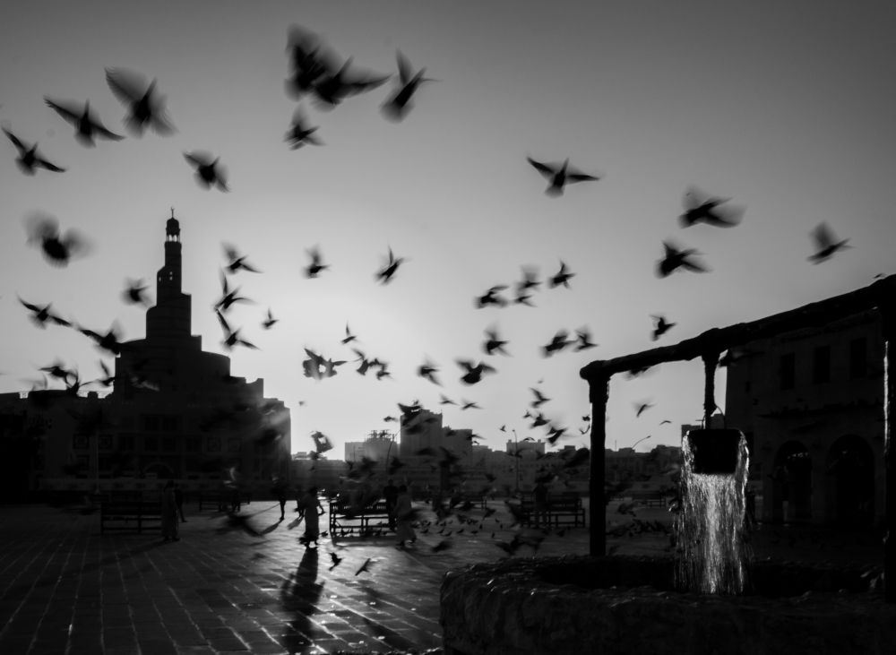 Photograph by Manjri Saxena