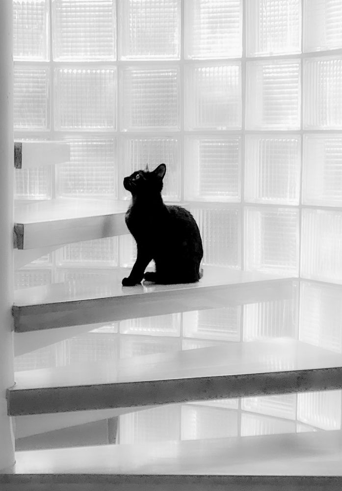 Photograph by Christine ECHEVET-ADAM de VILLIERS