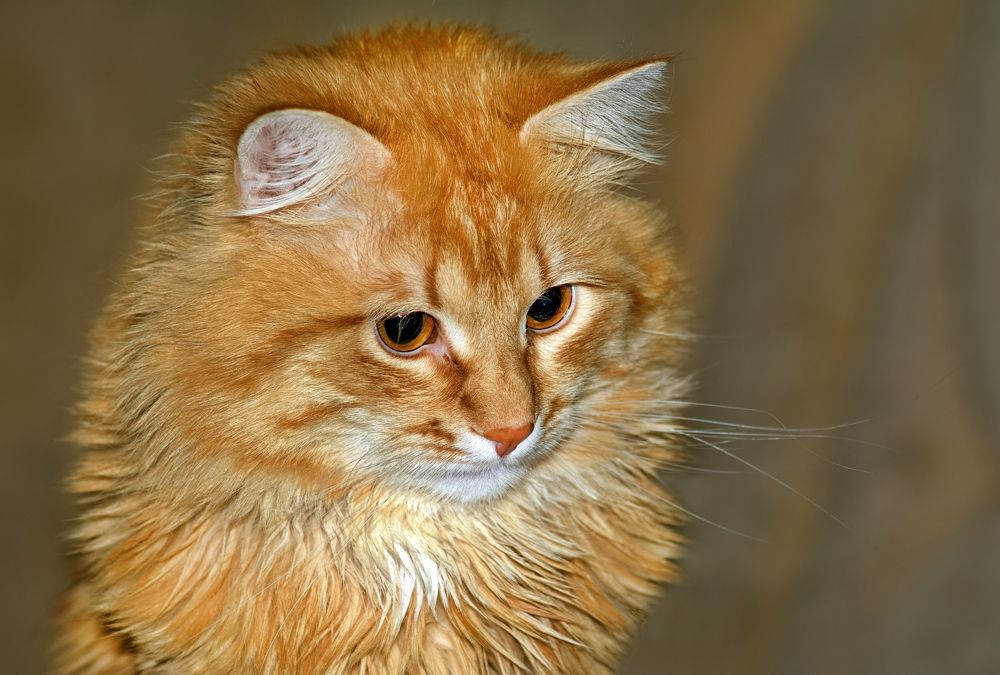 Photograph by Юрий Митенёв