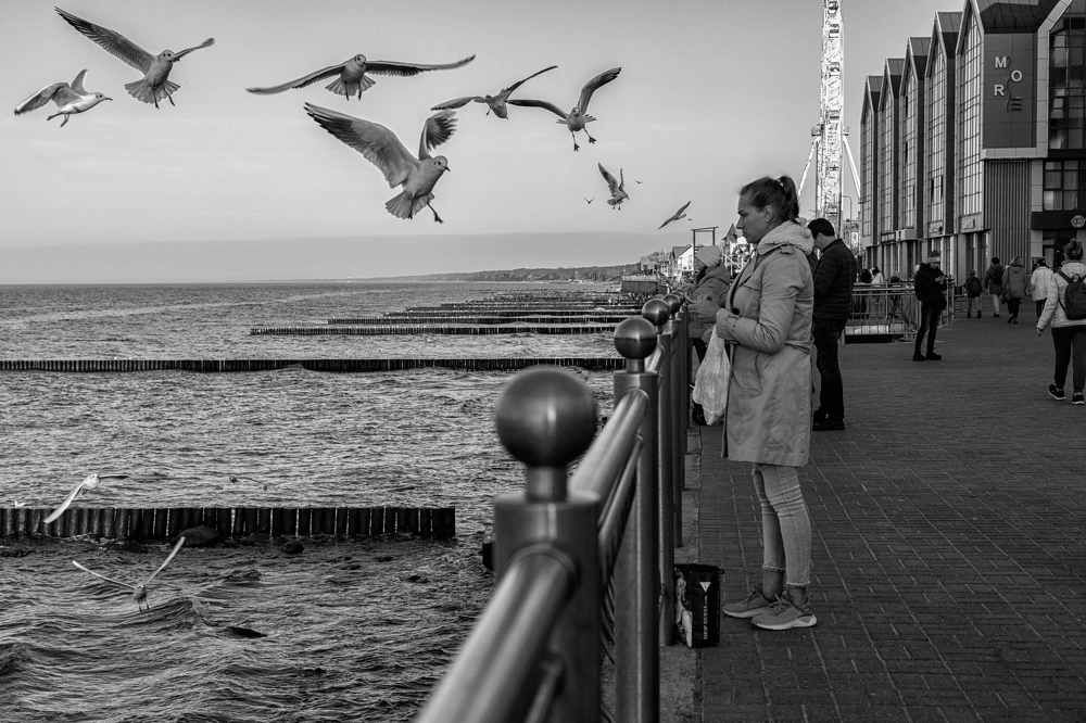 Фотография автора Виталий Новиков